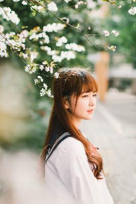 免费看电影网站